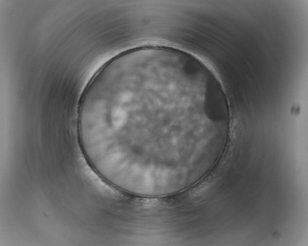 X0000113230903200910011406