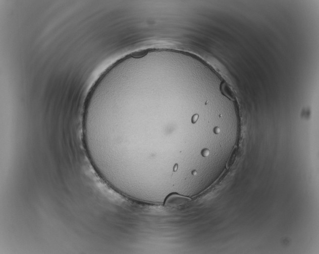 X0000113230904200910011406