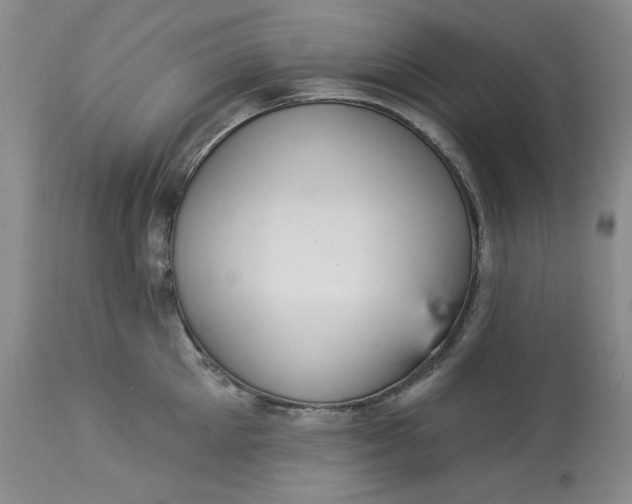 X0000113230905200910011406