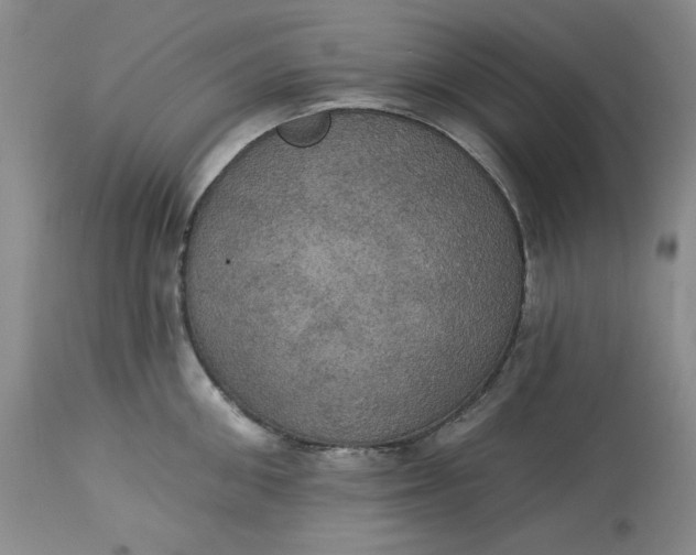 X0000113230906200910011406