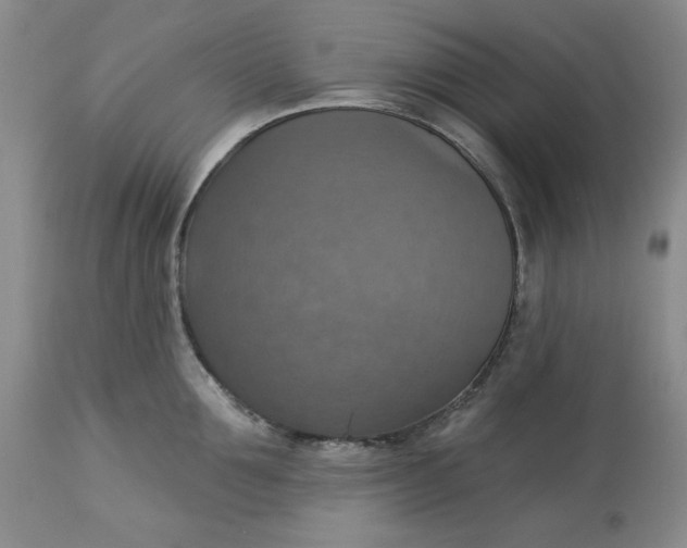 X0000113230907200910011406