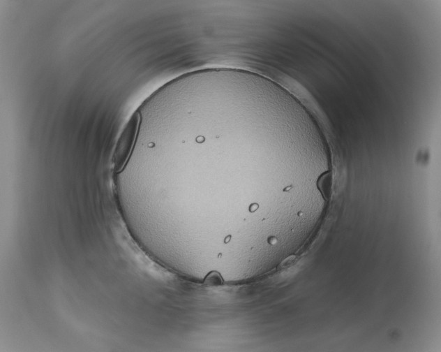 X0000113230908200910011406