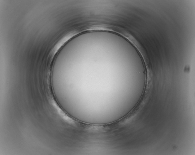 X0000113230909200910011406