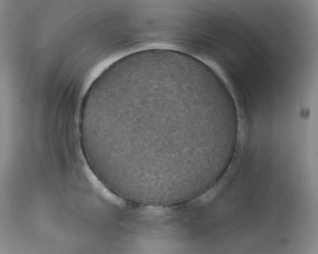 X0000113230910200910011406