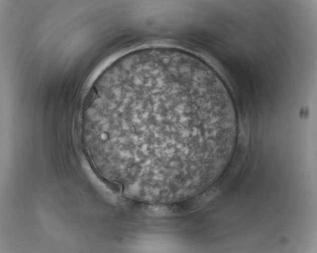 X0000113230911200910011406