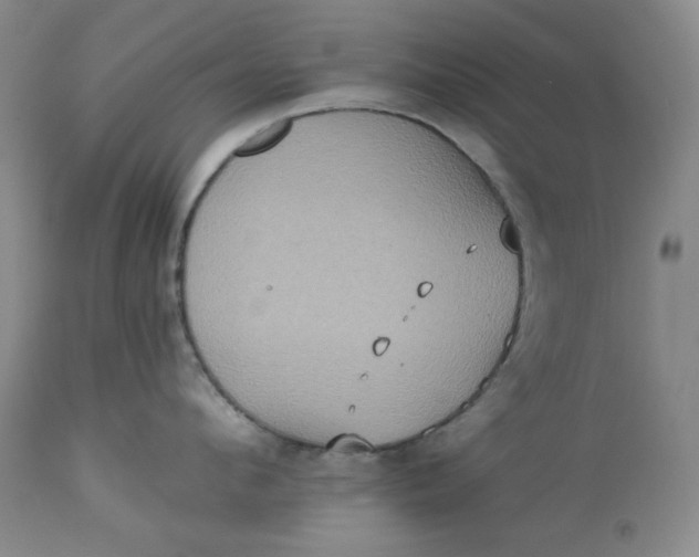 X0000113230912200910011406