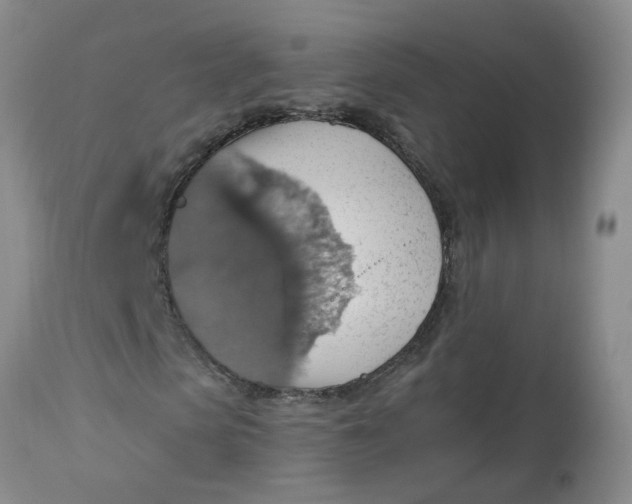 X0000113230913200910011405