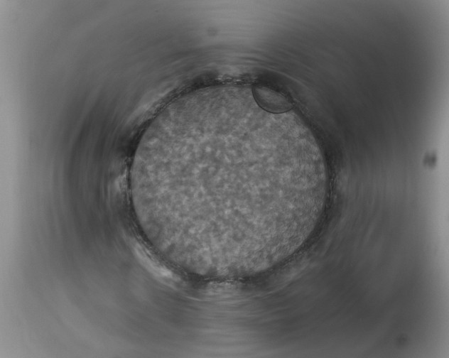 X0000113230914200910011405