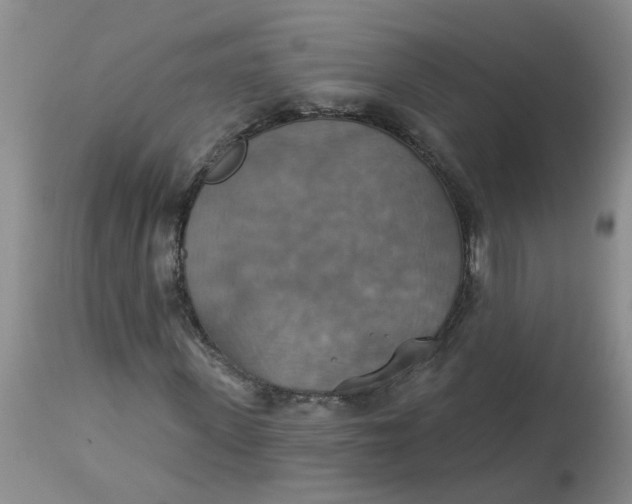 X0000113230915200910011405