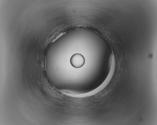 X0000113230916200910011405