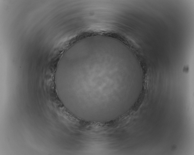 X0000113230917200910011405