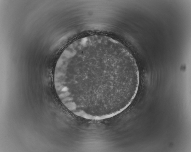 X0000113230918200910011405