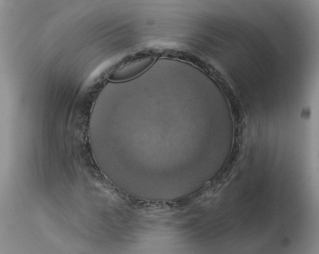 X0000113230919200910011405