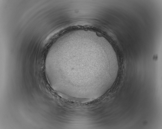 X0000113230920200910011405