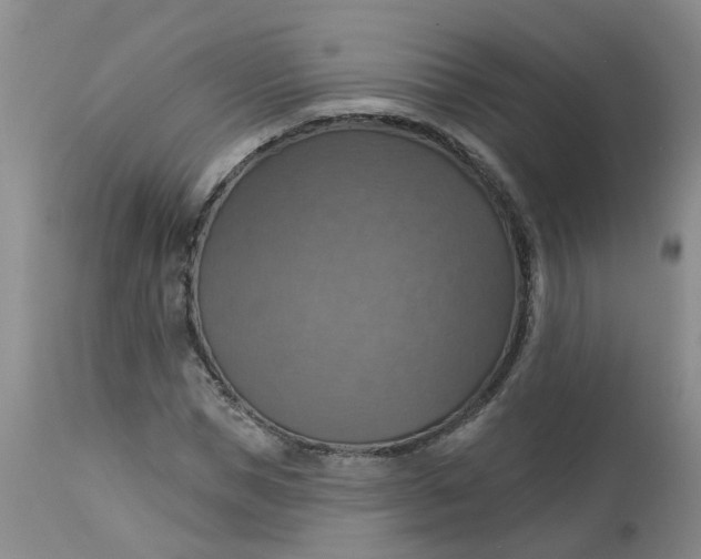 X0000113230921200910011405