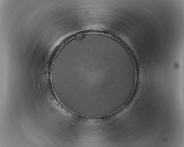 X0000113230923200910011405