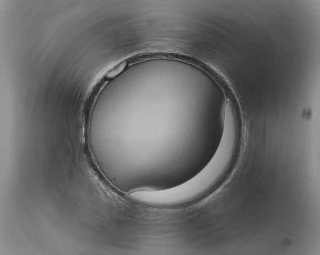 X0000113230925200910011405