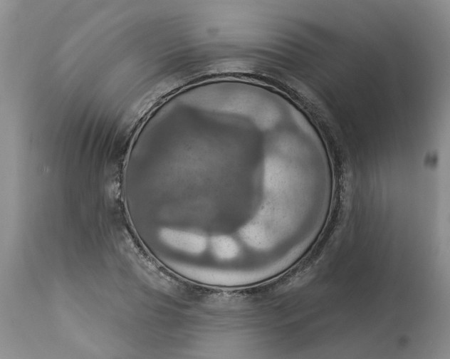 X0000113230929200910011405