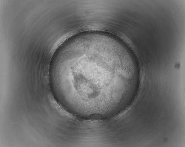 X0000113230930200910011405