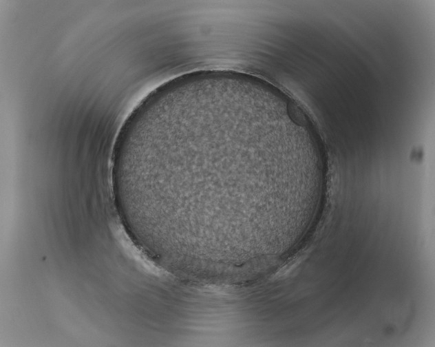 X0000113230932200910011405