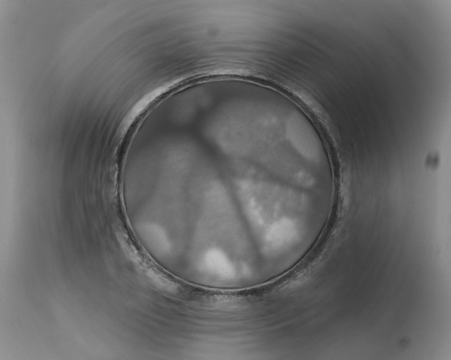 X0000113230933200910011405