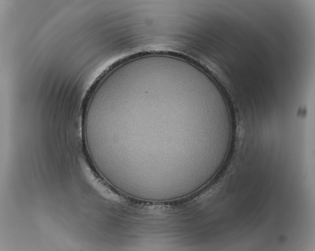 X0000113230934200910011406