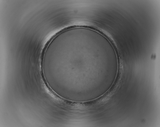 X0000113230935200910011406