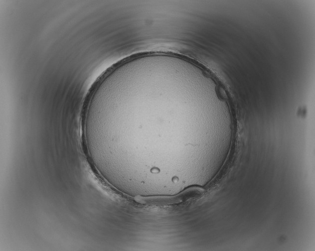 X0000113230936200910011406