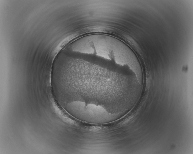 X0000113230938200910011406