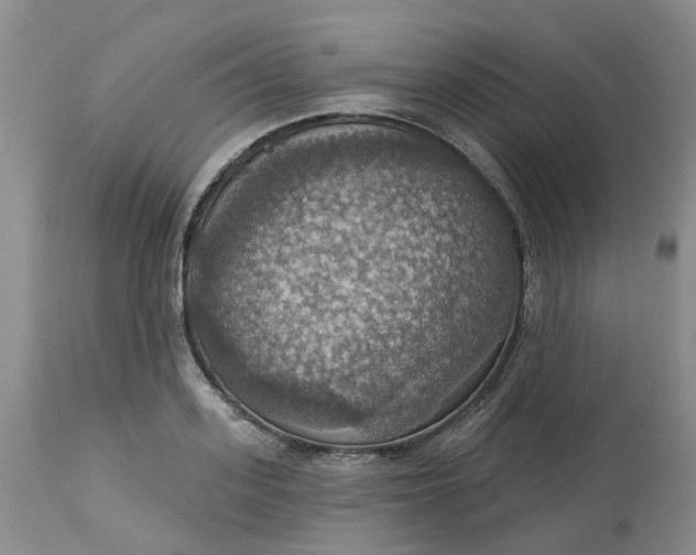 X0000113230939200910011406