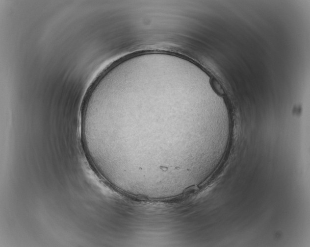 X0000113230940200910011406