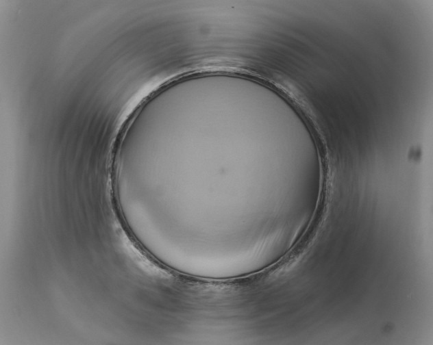 X0000113230941200910011406