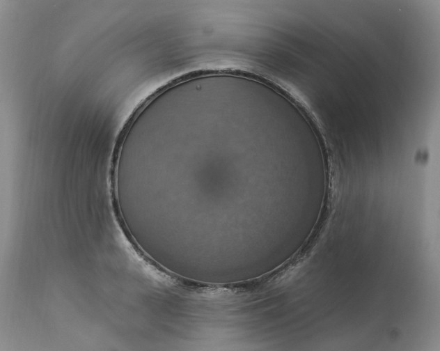 X0000113230943200910011406