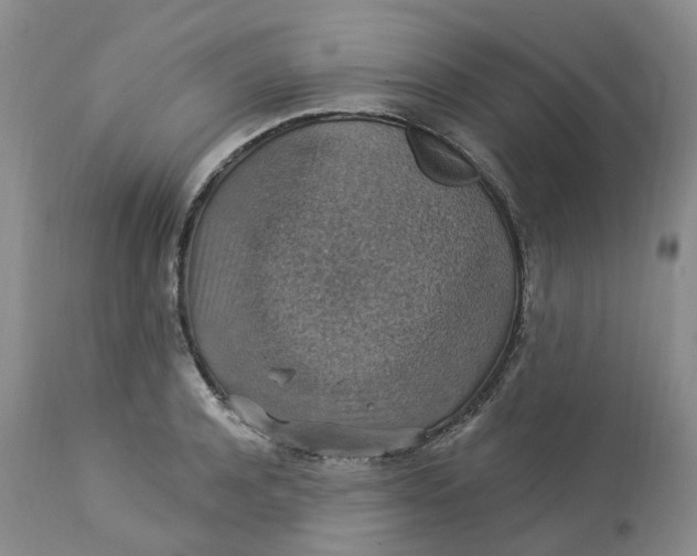 X0000113230944200910011406