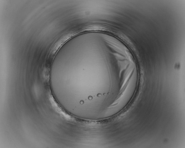 X0000113230945200910011406