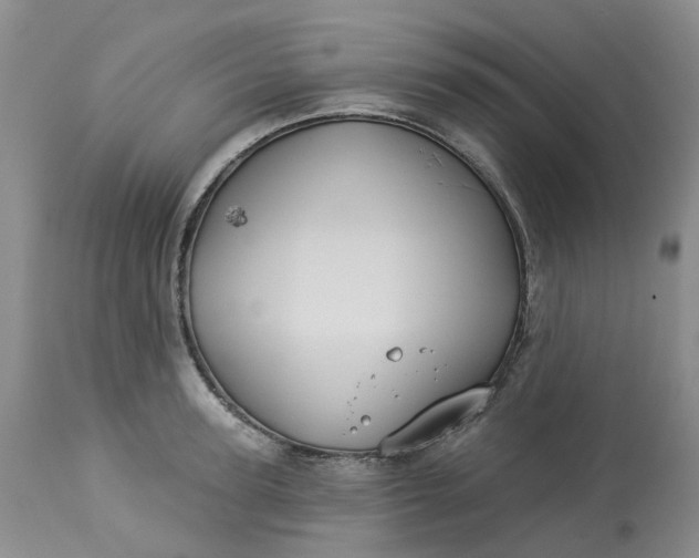 X0000113230947200910011406