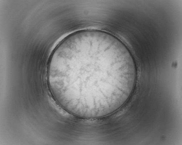 X0000113230948200910011406