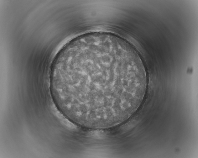 X0000113230950200910011406