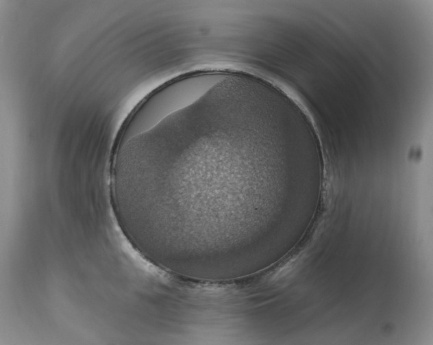 X0000113230951200910011406