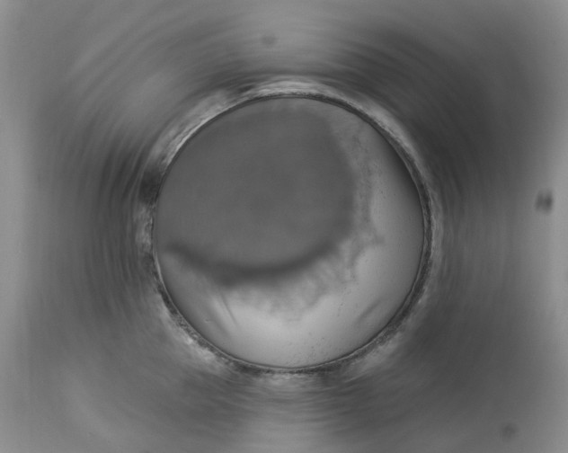 X0000113230953200910011406