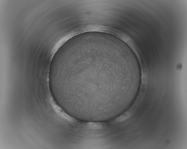 X0000113230954200910011406