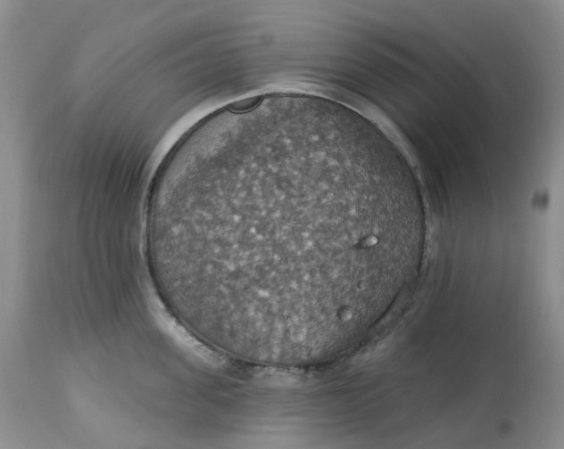 X0000113230955200910011406