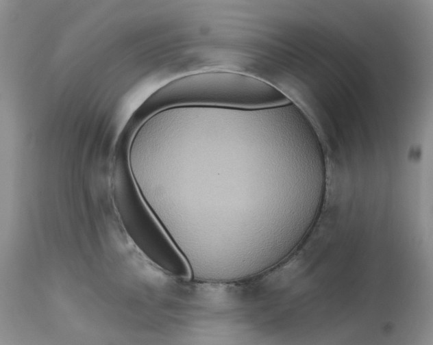 X0000113230956200910011406