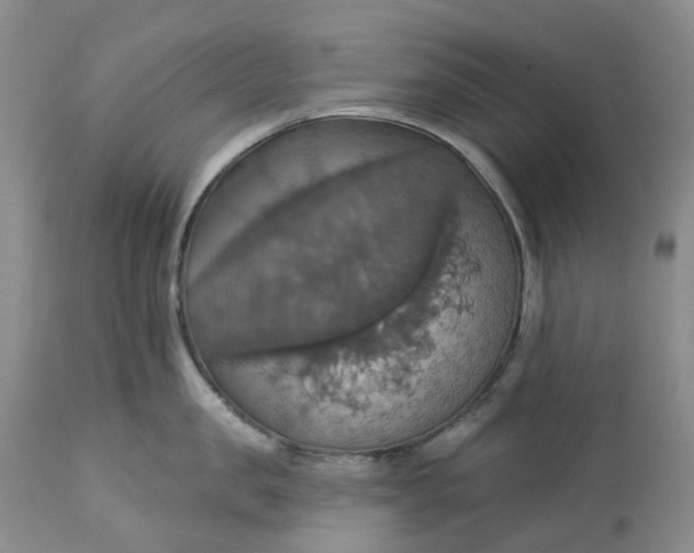 X0000113230957200910011406