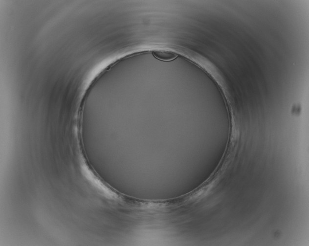 X0000113230958200910011406