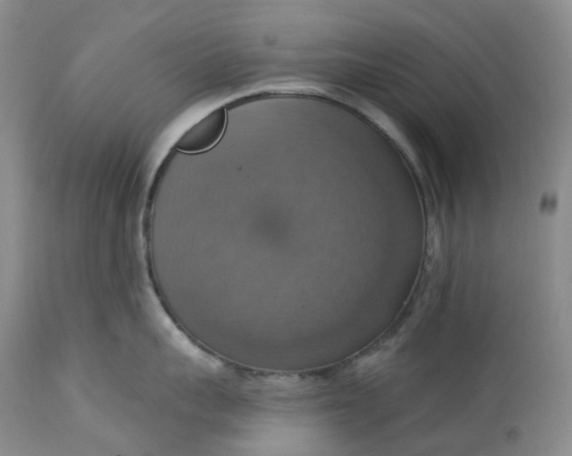 X0000113230959200910011406