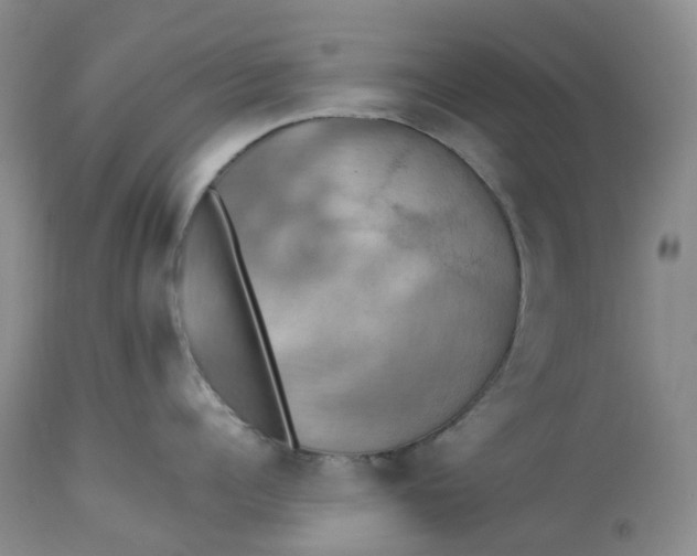 X0000113230960200910011406