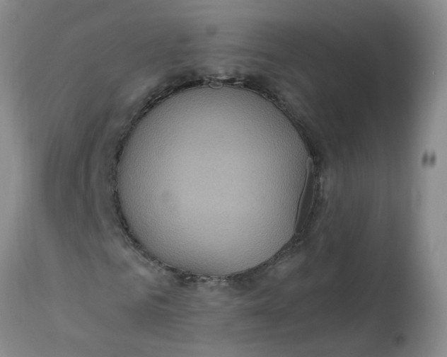 X0000113230961200910011405