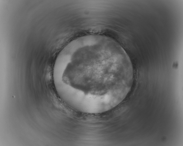 X0000113230962200910011405