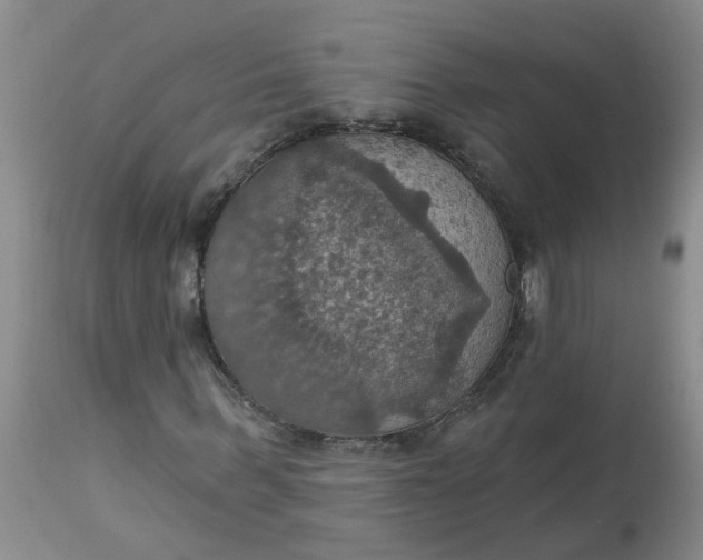 X0000113230963200910011405